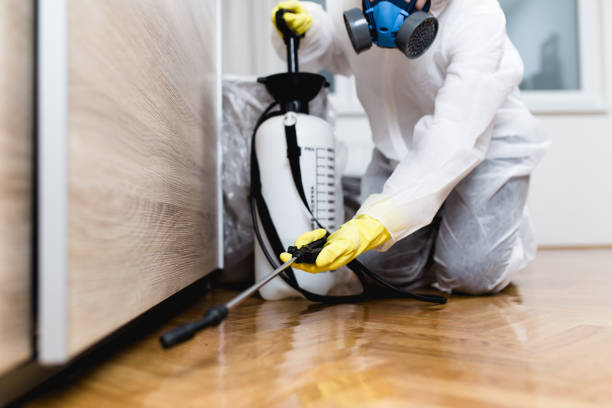 Pest Control Cost in Bayboro, NC