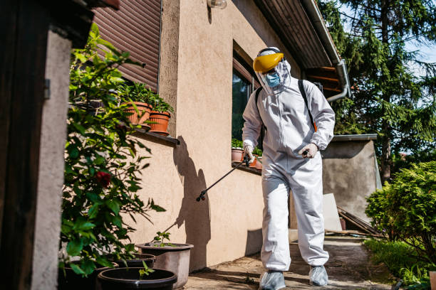 Pest Prevention Services in Bayboro, NC