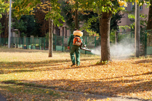 Best Pest Prevention Services  in Bayboro, NC